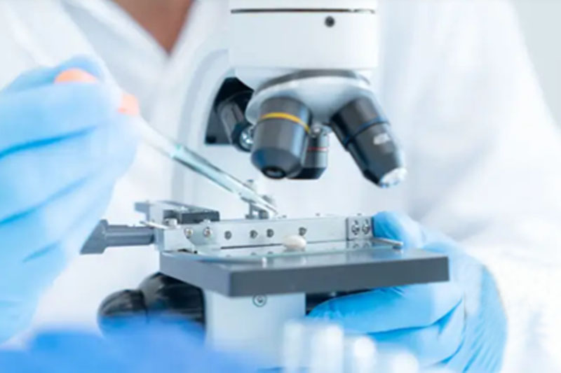 Biología Molecular